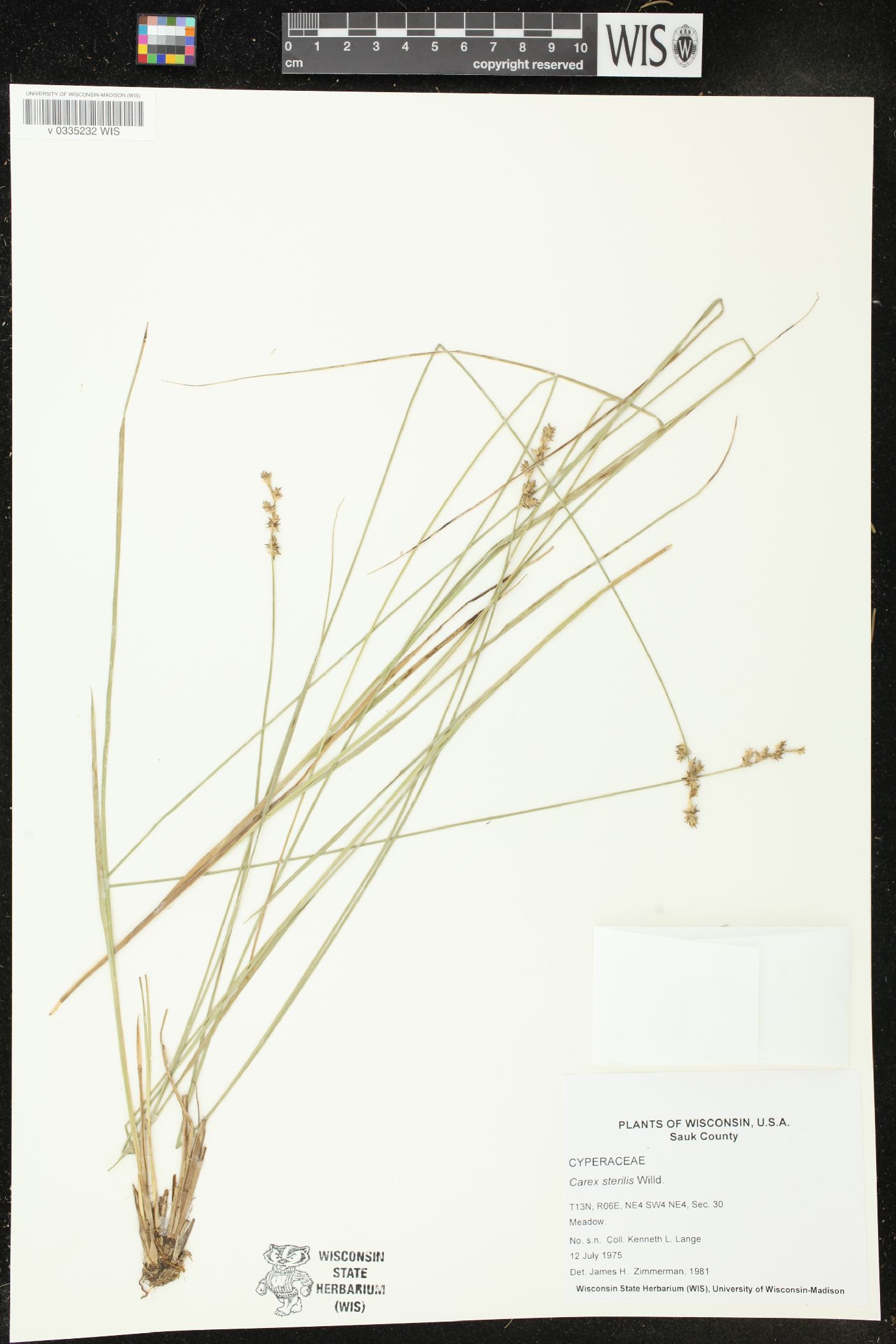 Carex sterilis image