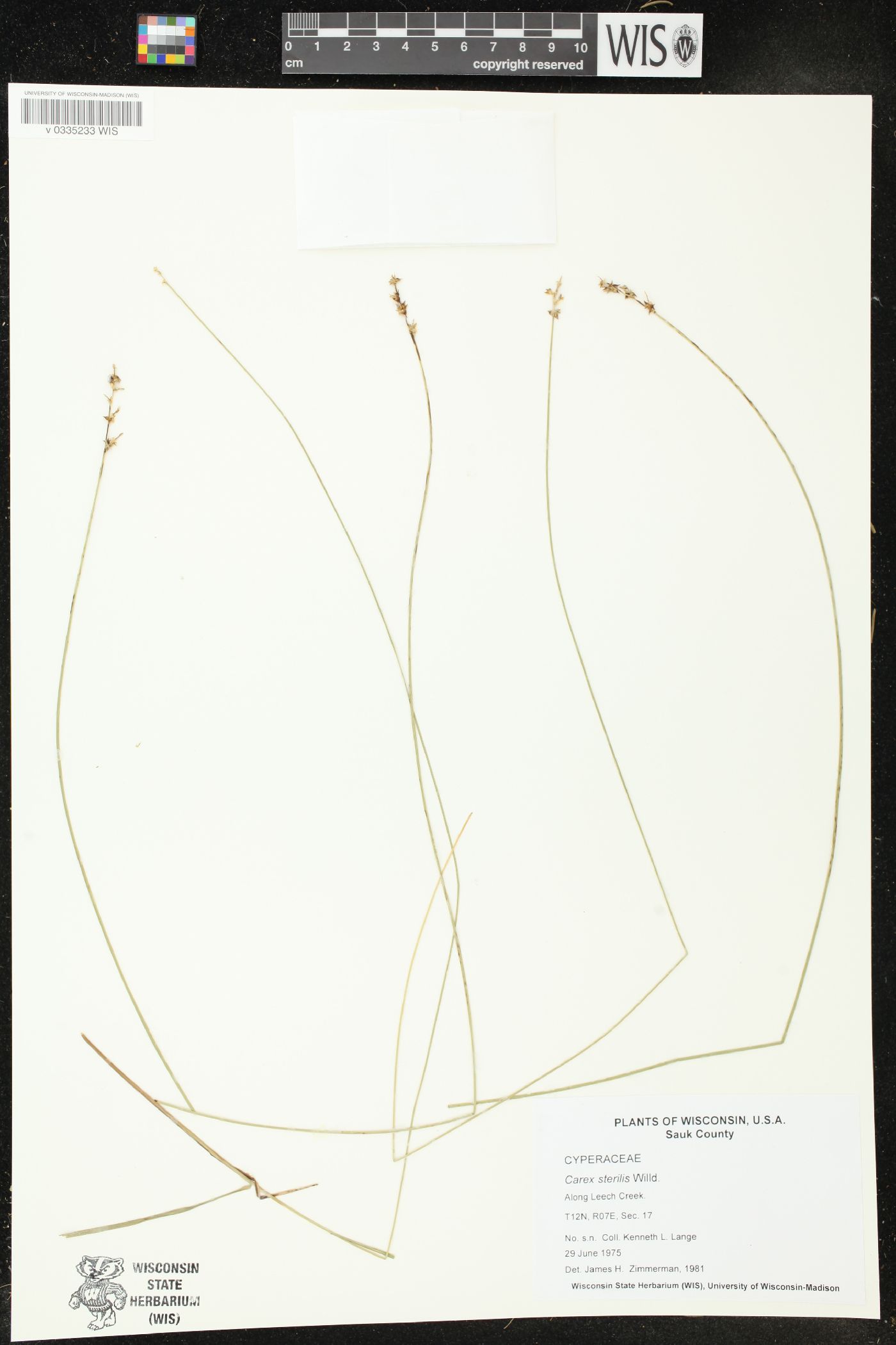 Carex sterilis image